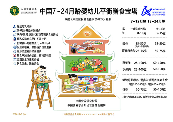 7-24月龄婴幼儿平衡膳食宝塔-v2022-低分辨率-600像素宽度-适合网站用图.jpg