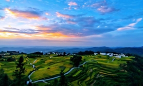 2025年妇幼营养学术年会专题