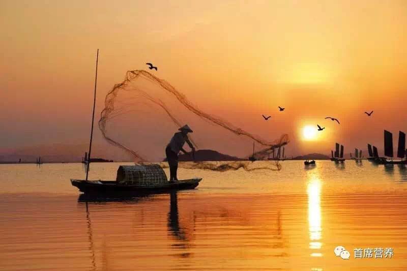 关于举办 “妇幼人群膳食评估技术”(2017年第2期) 继续医学教育项目的通知